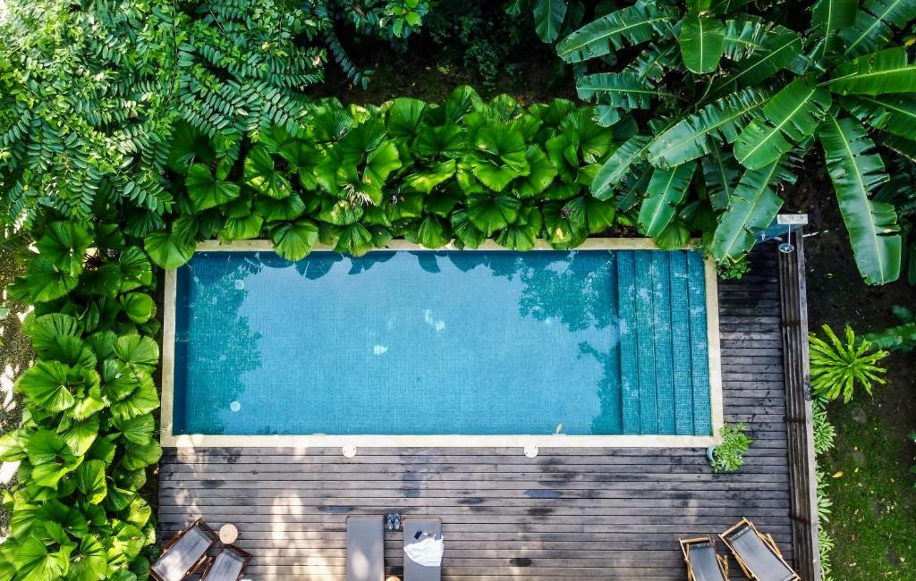 an overhead view of a swimming pool with plants at Satta Lodge in Puerto Viejo