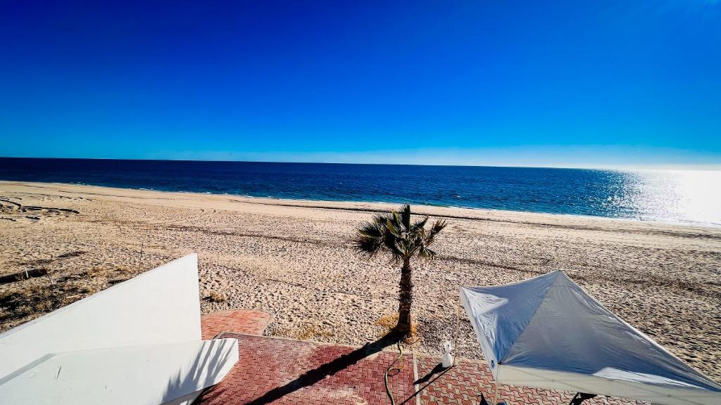una playa con una palmera y una sombrilla en Palmas 14b en Puerto Peñasco