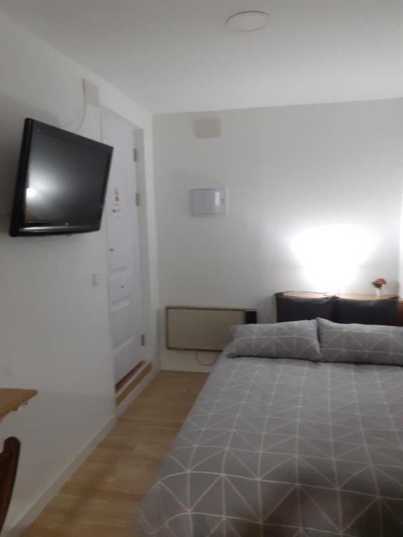 a bedroom with a bed with a flat screen tv on the wall at Apartamento-Estudio B-3. in Madrid