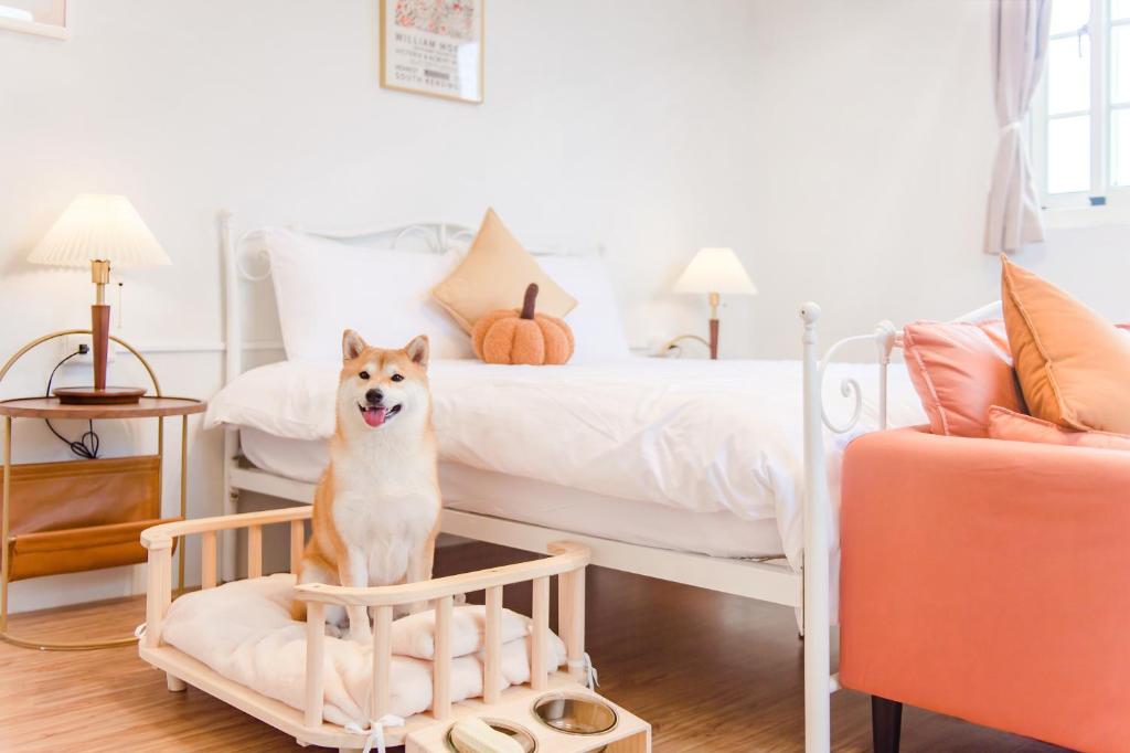 a dog sitting in a crib in a bedroom at H& 有時回家會館 l 寵物友善 in Taitung City