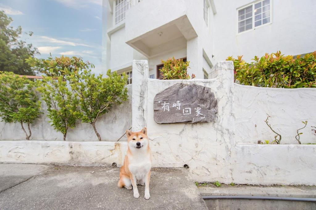 Ospiti di Taitung Homeabout Pet Friendly Hall con animali domestici