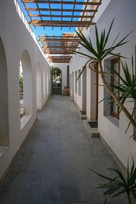 Fotografie z fotogalerie ubytování Abouseif Guest House v destinaci Sharm El Sheikh