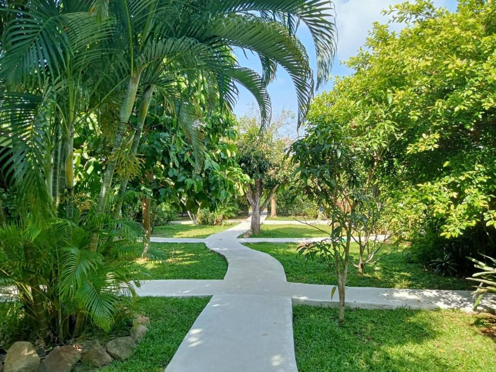 un sentiero attraverso un giardino con palme di Bang Po Hut a Ban Bang Po