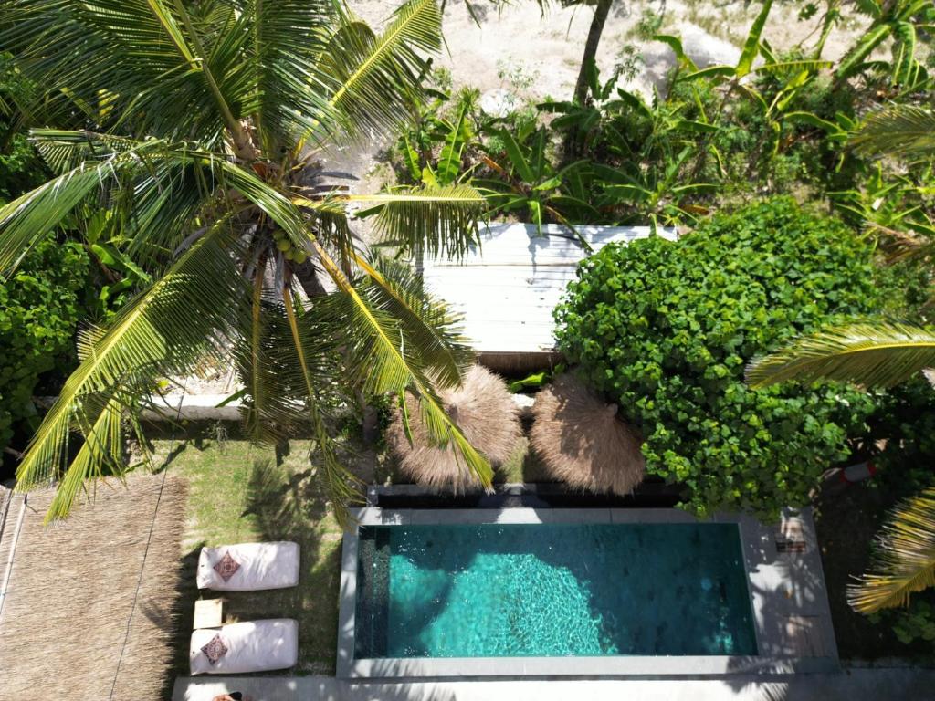 an overhead view of a swimming pool in a garden at Golden Garuda Cottages in Polilit