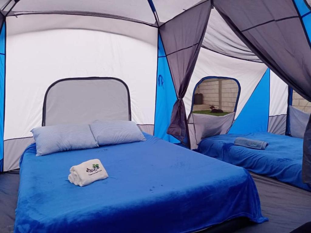 特來亞卡潘的住宿－Maktub TlayaGlamping，帐篷内提供两张床