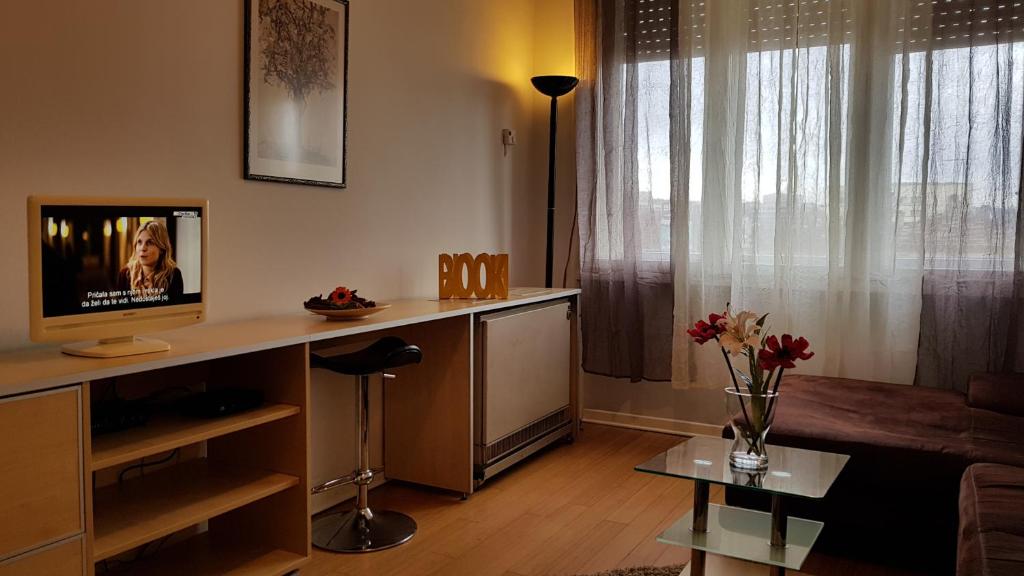 TV o dispositivi per l'intrattenimento presso Downtown Belgrade Hostel and Apartments