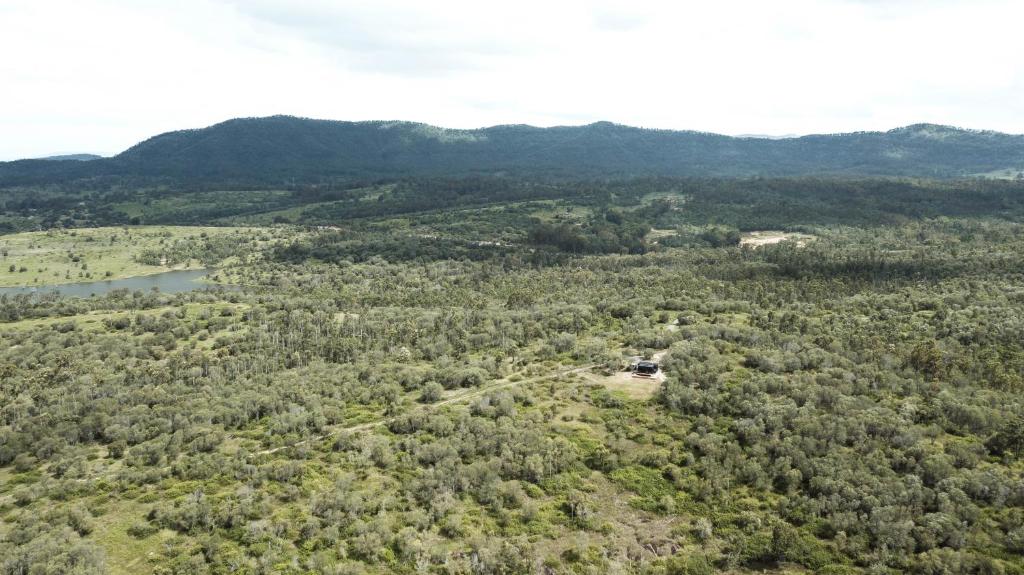 an aerial view of a forest with a lake and mountains at Wander in the Scenic Rim in Wyaralong