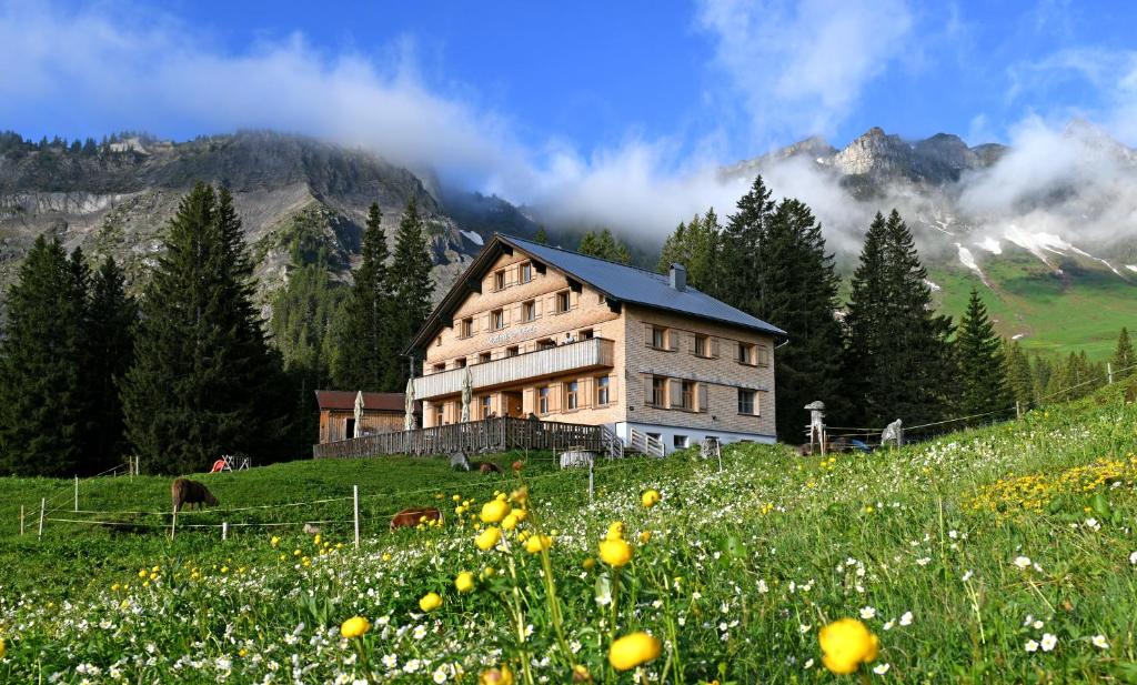 a house on a hill with a field of flowers at Edelweiß am Öberle in Au im Bregenzerwald