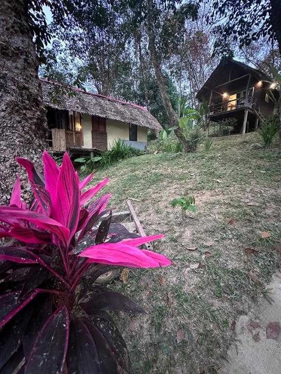 uma flor rosa em frente a uma casa em Koh Mook Mountain view em Ko Mook