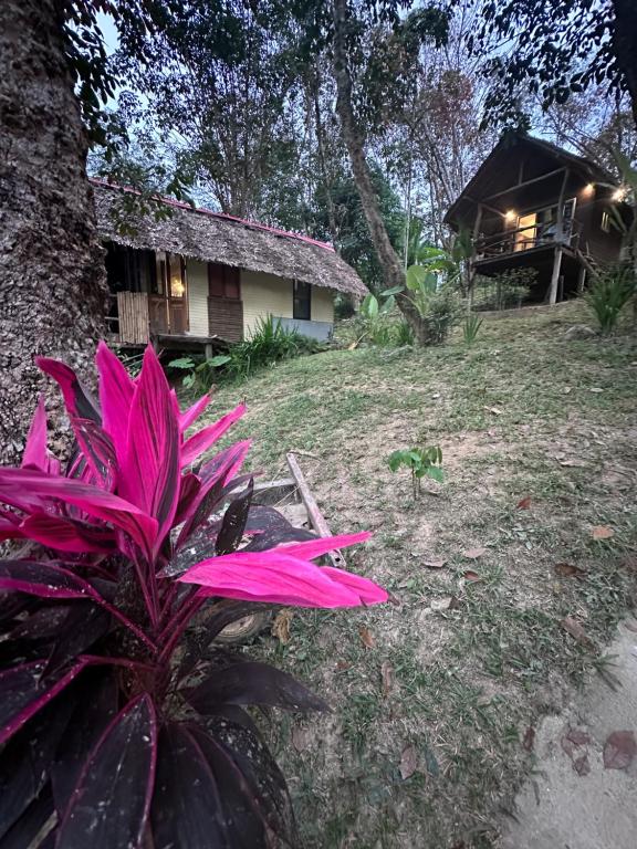 a pink flower in front of a house at Koh Mook Mountain view in Koh Mook