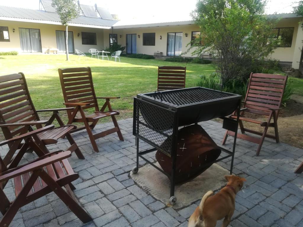 un perro está parado junto a una parrilla con sillas en Grace Country Retreat, en Memel