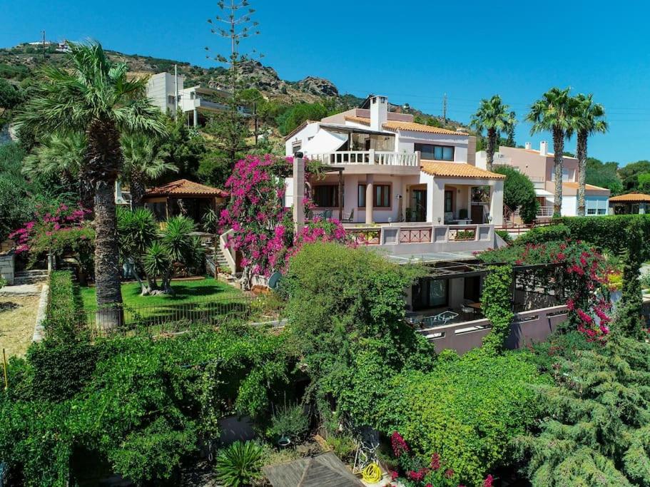 A garden outside 7 SENCES!!