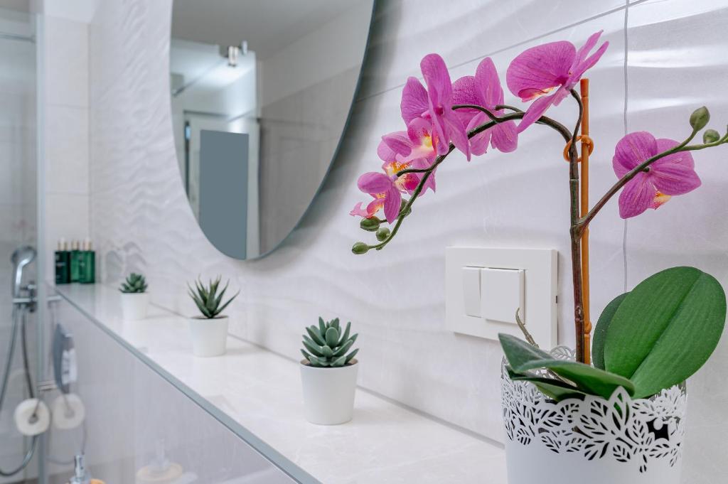 Seven Seas Residence - 14