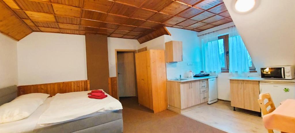 Kuchyň nebo kuchyňský kout v ubytování Apartment Ulrich