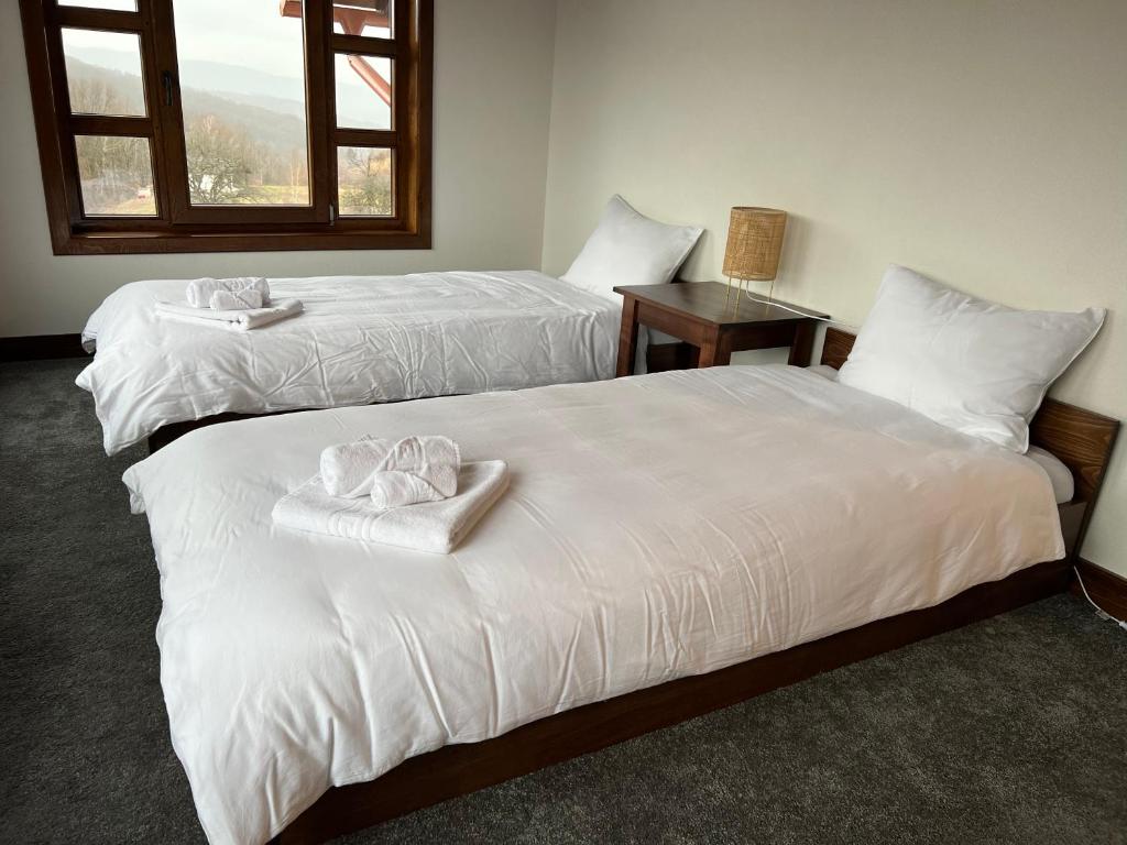 Agropensiunea Floare de Tei - Quadruple Room With Garden View