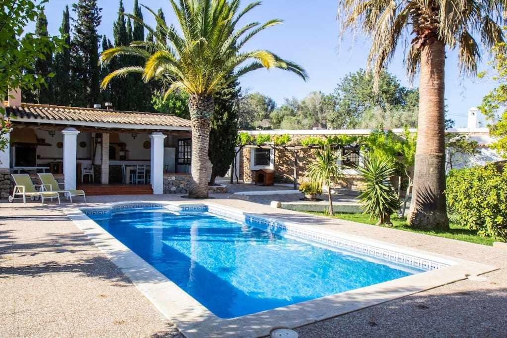 a swimming pool in front of a house with palm trees at Can Valencià in Montecristo