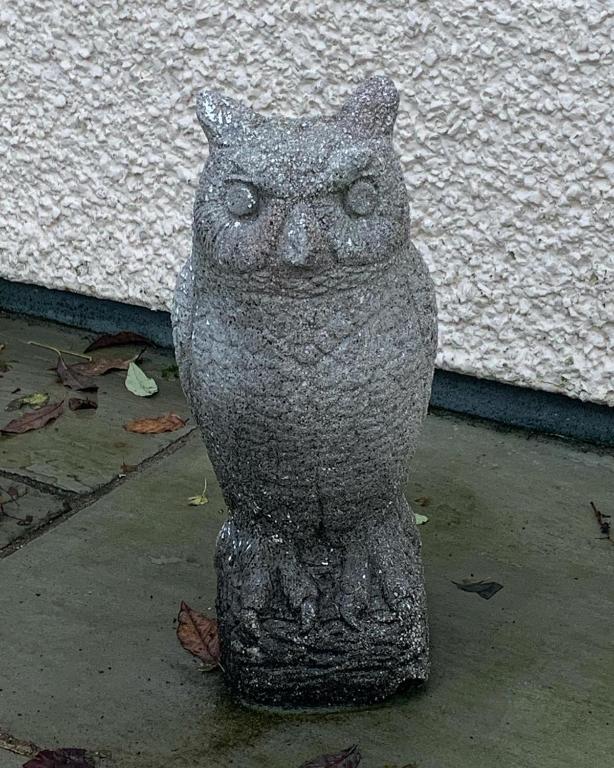 Fotografie z fotogalerie ubytování Owlswood Apartments v destinaci Edinbain