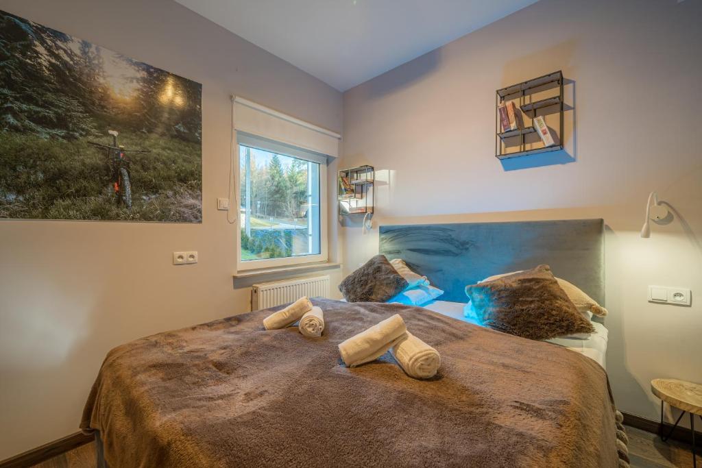 Apartamenty Pod Gondola Świeradów - 9