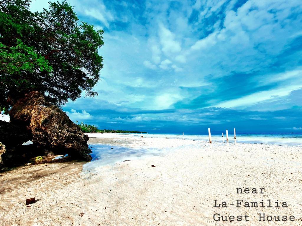 a sandy beach with a tree and the ocean at La-Familia Guest House in Siquijor