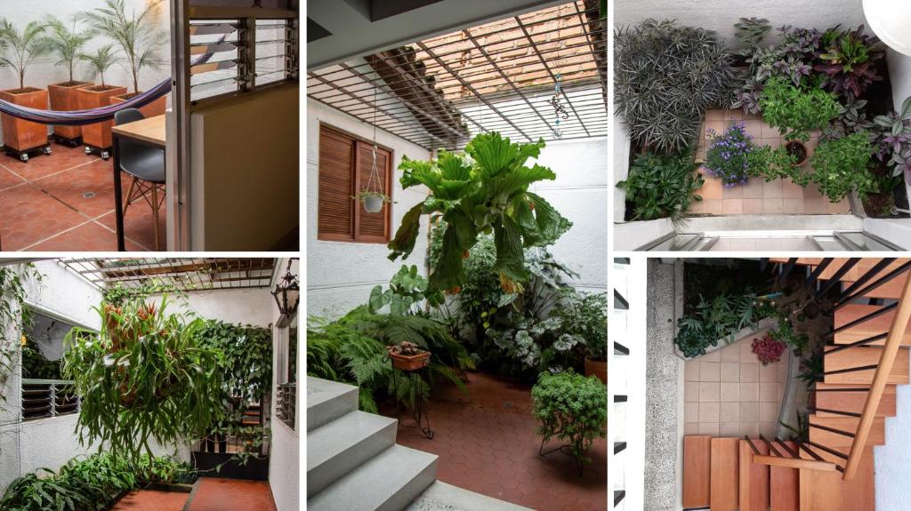 a collage of photos of a building with plants at CASA DE LOLA in Medellín
