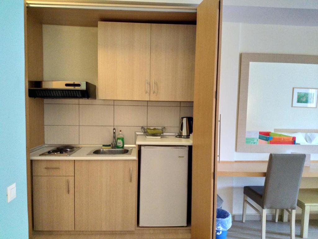 Kuchyň nebo kuchyňský kout v ubytování Hotel Estia