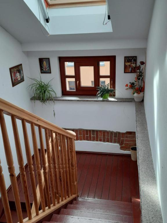 Fotografia z galérie ubytovania APARTAMENTY TR 11 Apartament nr 4 v destinácii Olsztyn
