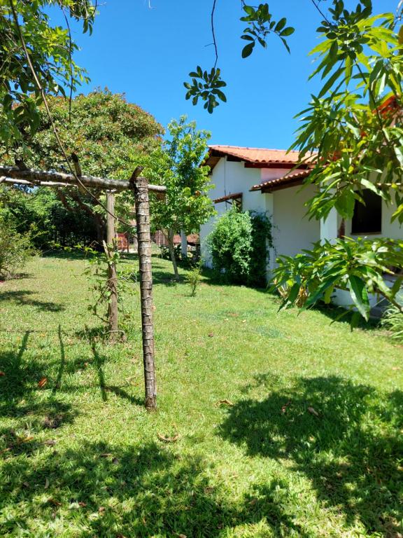 een boom in de tuin van een huis bij Sem Fronteiras in Ilha de Boipeba