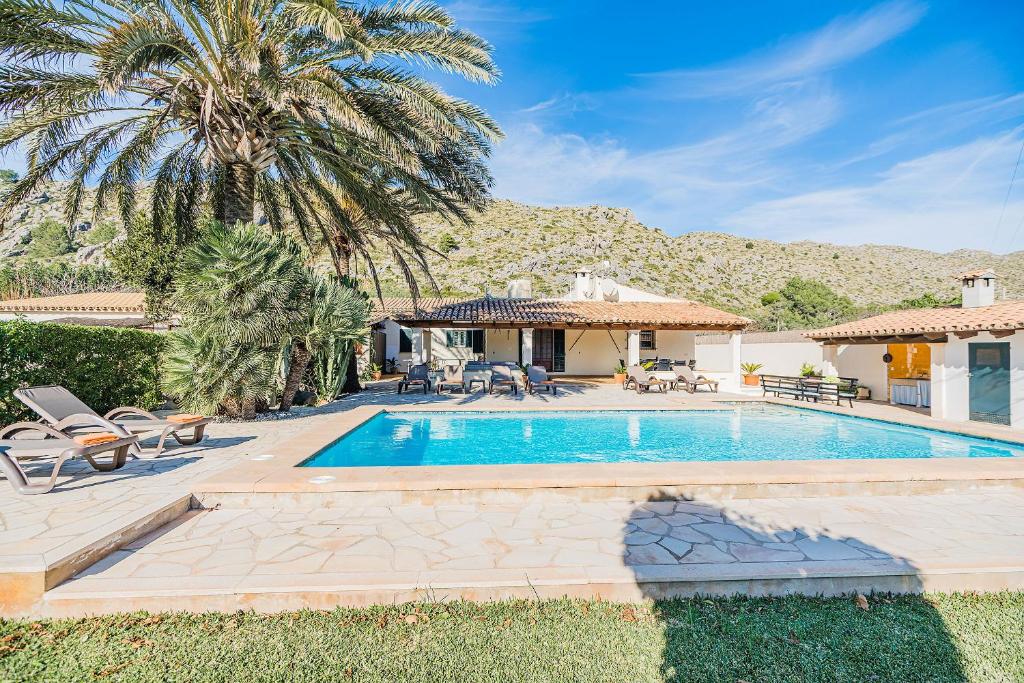 a swimming pool in a house with a palm tree at Can Canaves in Pollença