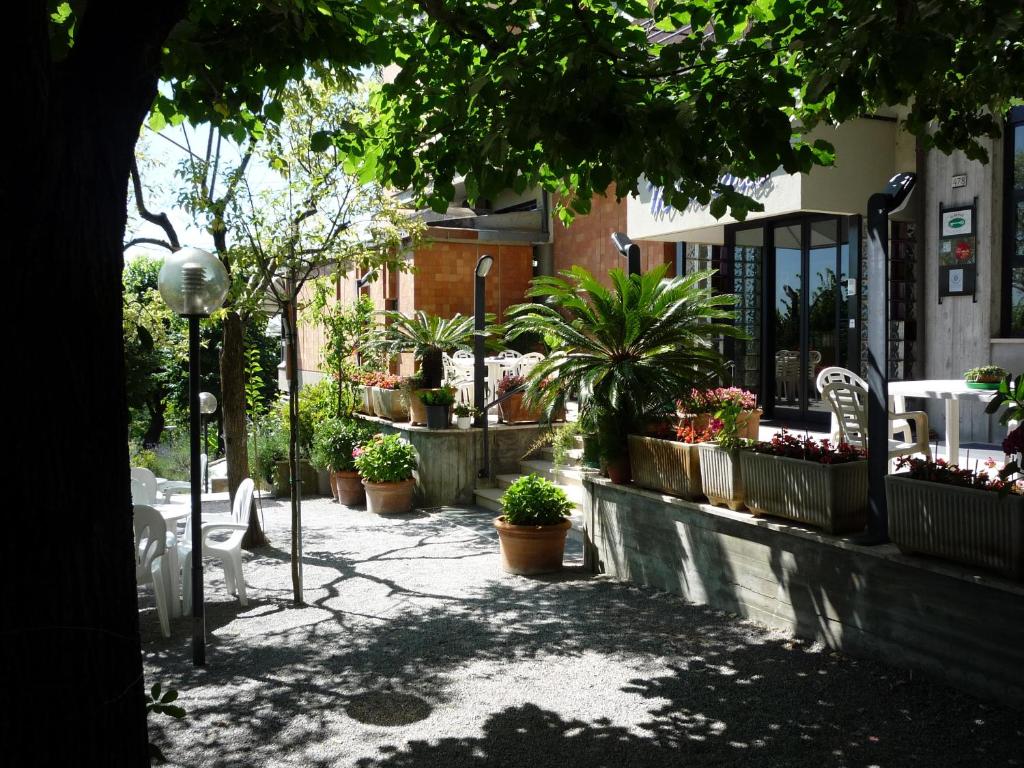 Zahrada ubytování Hotel Montecarlo