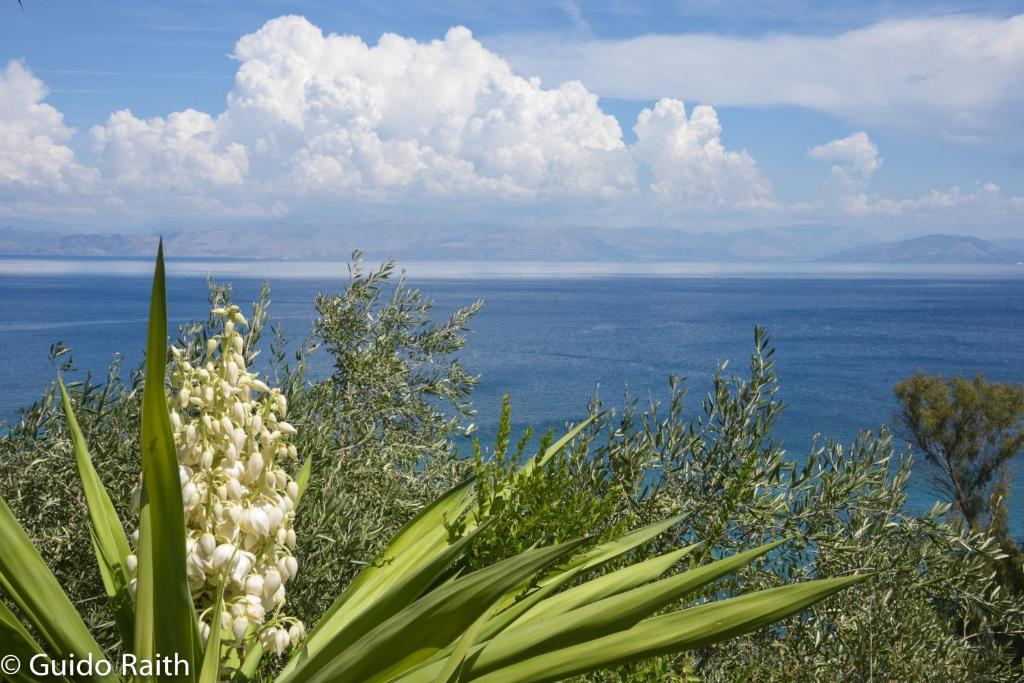 una planta con vistas al océano en Ionian Sea View Studios by Hotelius, en Episkopianá
