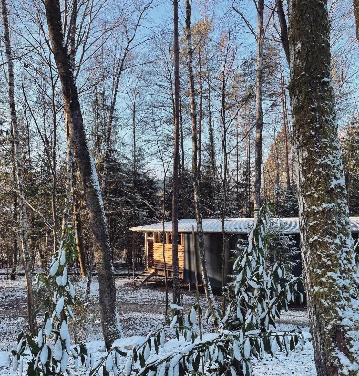 Madame Imagine, Lodges & SPA Epinal v zime