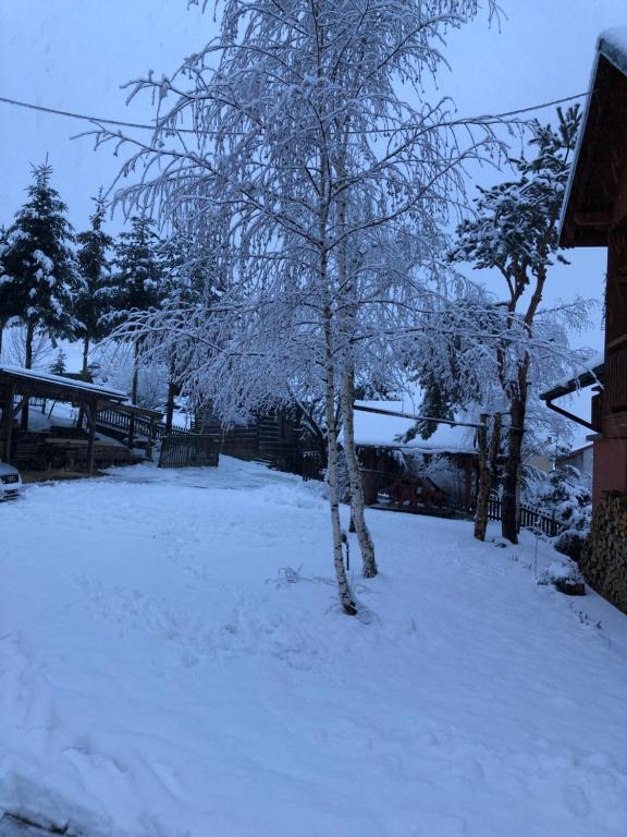 Pokoje u Adama Grajoka v zime