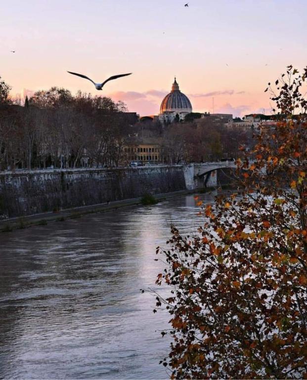 Príroda v okolí apartmánu