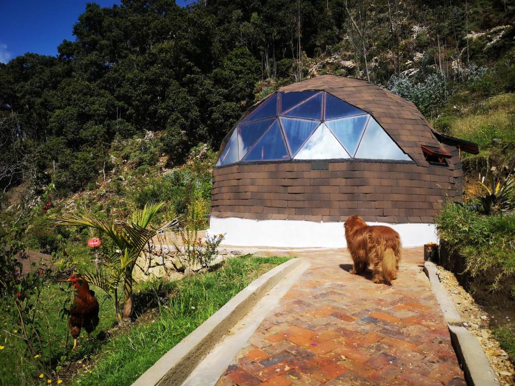 Tybyn Geo Lodge - 
