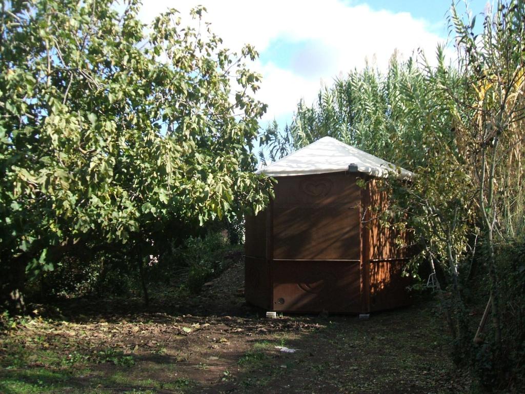 Vonkajšia záhrada v ubytovaní Su Ghindalu Guesthouse