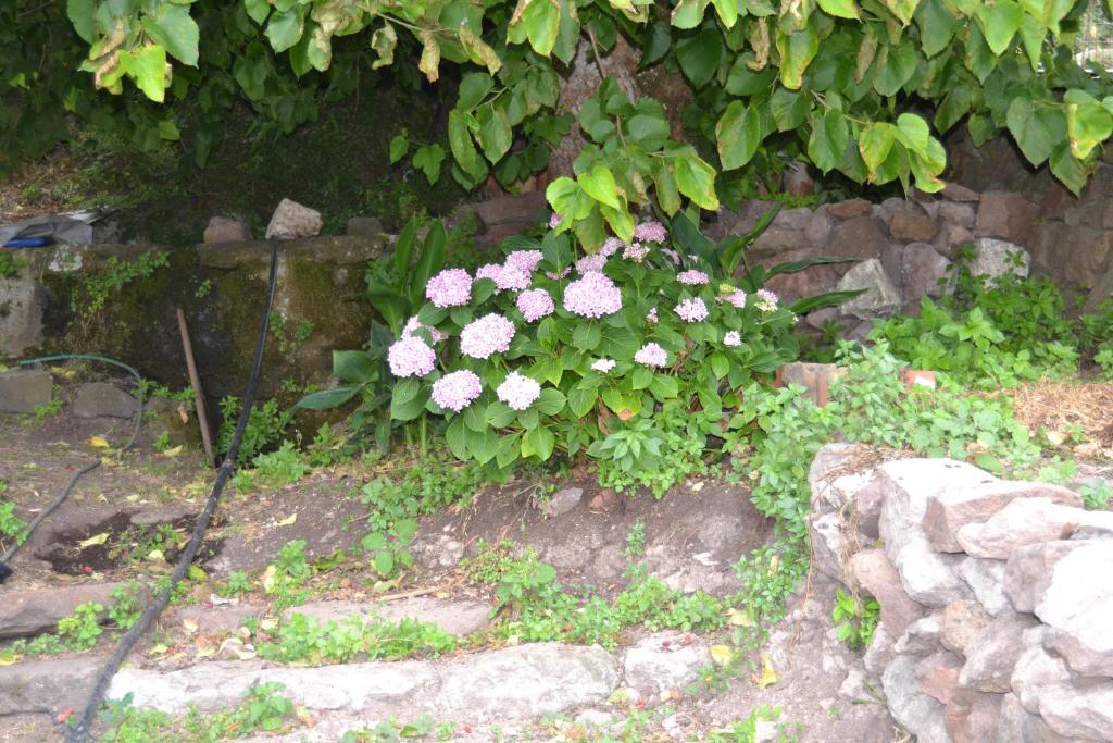 Vonkajšia záhrada v ubytovaní Su Ghindalu Guesthouse