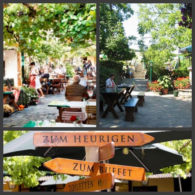 NEW Apartment - 10 min DOWNTOWN - 6