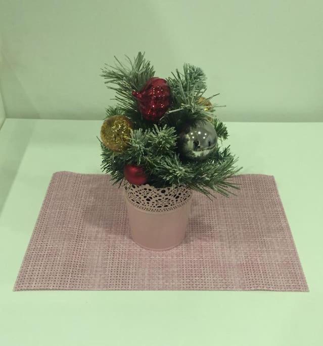 NEW Apartment - 10 min DOWNTOWN - 17