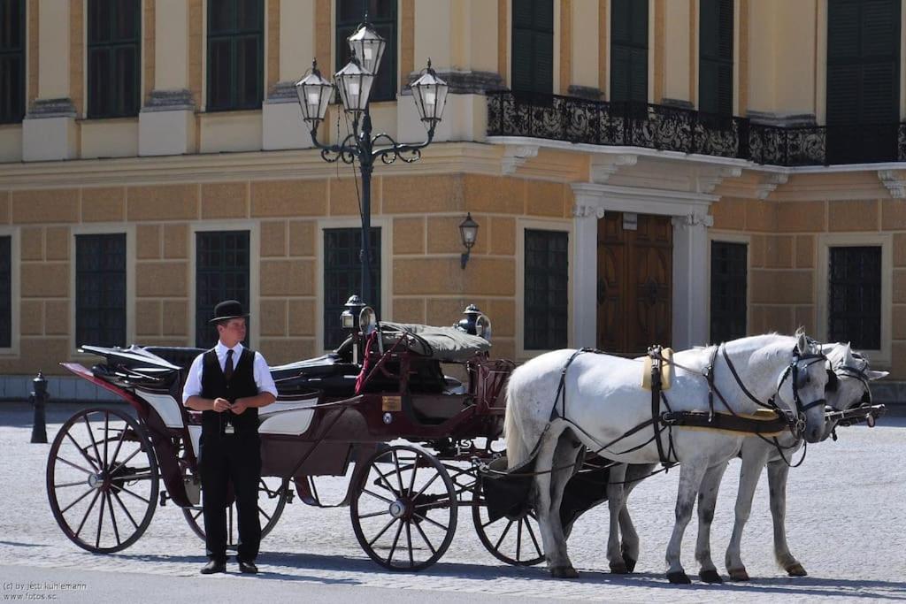 NEW Apartment - 10 min DOWNTOWN - 18