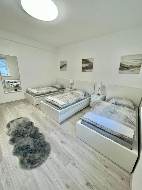 1 Schlafzimmer mit 2 Betten und einem Teppich in der Unterkunft Elite Rooms - Netflix - Coffee - WiFi - City in Wuppertal