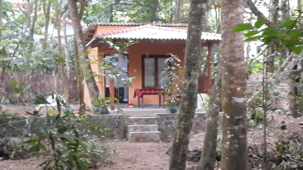 mały domek w lesie z czerwoną ławką z przodu w obiekcie Freedom House Hiriketiya w mieście Dickwella