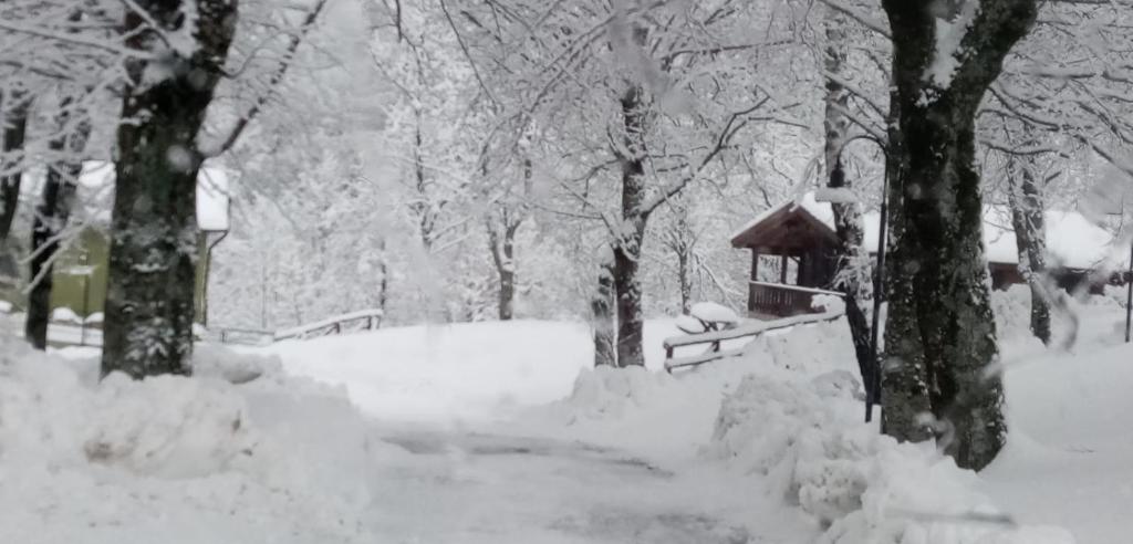 Obiekt Villaggio Anemone Chalet Scoiattolo zimą