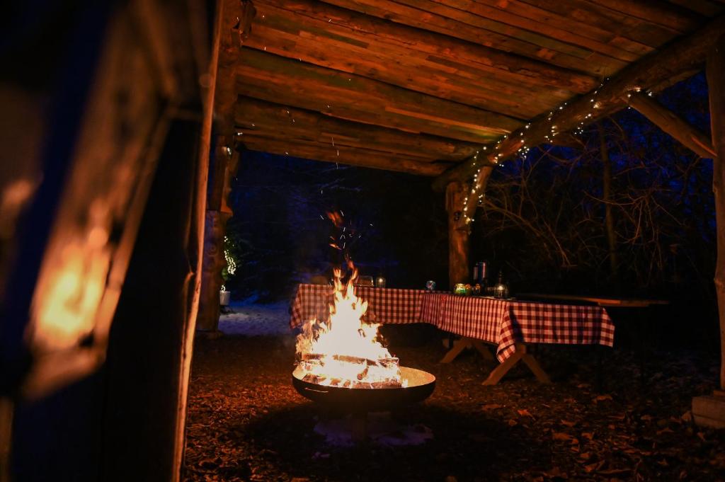 Fotografie z fotogalerie ubytování Tiny House Nature 16 - Green Tiny Village Harz v destinaci Osterode