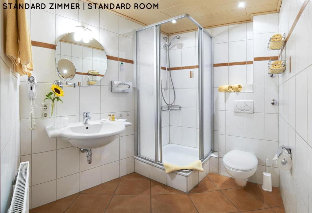 Hotel Hanauerhof - Standard Double Room