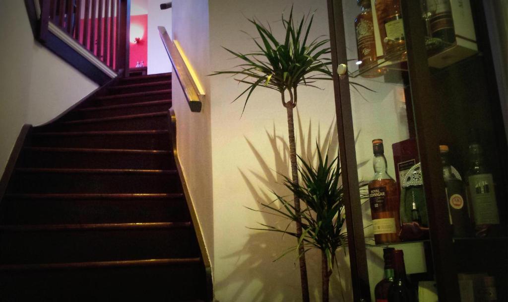 Robin 7 Lodge City Centre - Resim 25