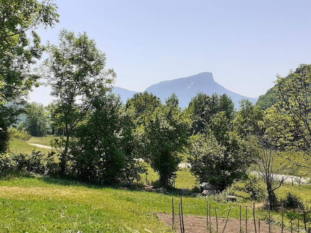 a field with trees and a mountain in the background at Gîte Les Mésanges 