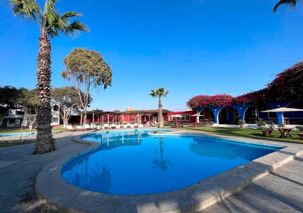 a swimming pool with a palm tree and a building at La Estancia Chincha Hotel in Chincha Alta