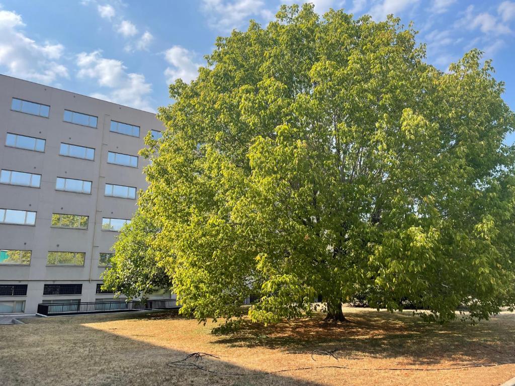 Residence Hotel Torino Uno - Resim 37