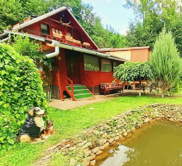 a house with a dog sitting in the grass near a pond at Cabana Cheile Valisoarei in Vălişoara