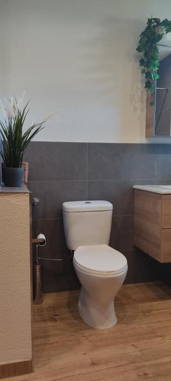 Kúpeľňa v ubytovaní Ferienwohnung Hager Kuchl